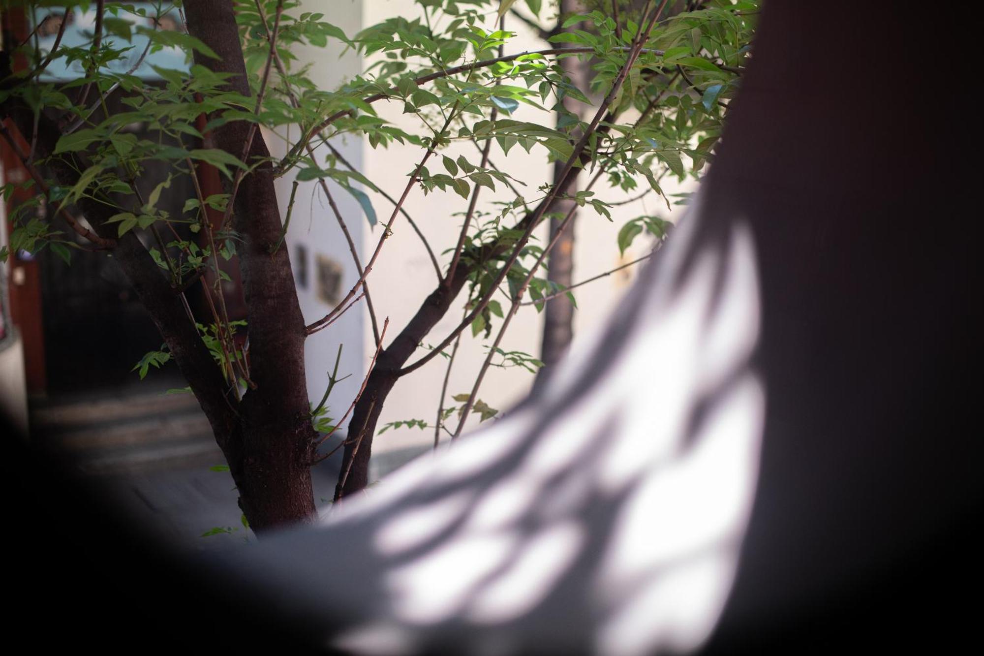 El Consuelo Hotel Oaxaca ภายนอก รูปภาพ