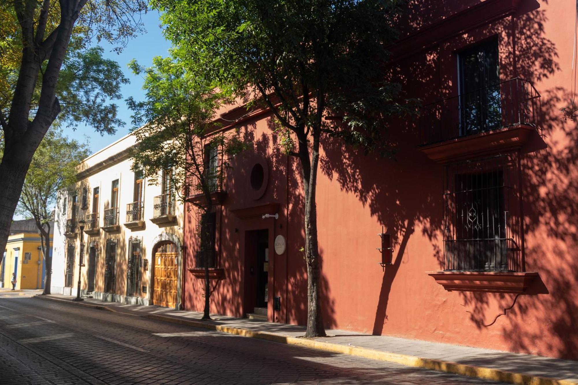 El Consuelo Hotel Oaxaca ภายนอก รูปภาพ